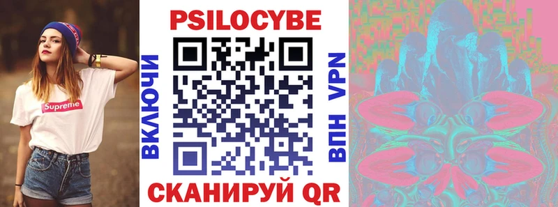 где найти наркотики  Константиновск  Галлюциногенные грибы Psilocybine cubensis 